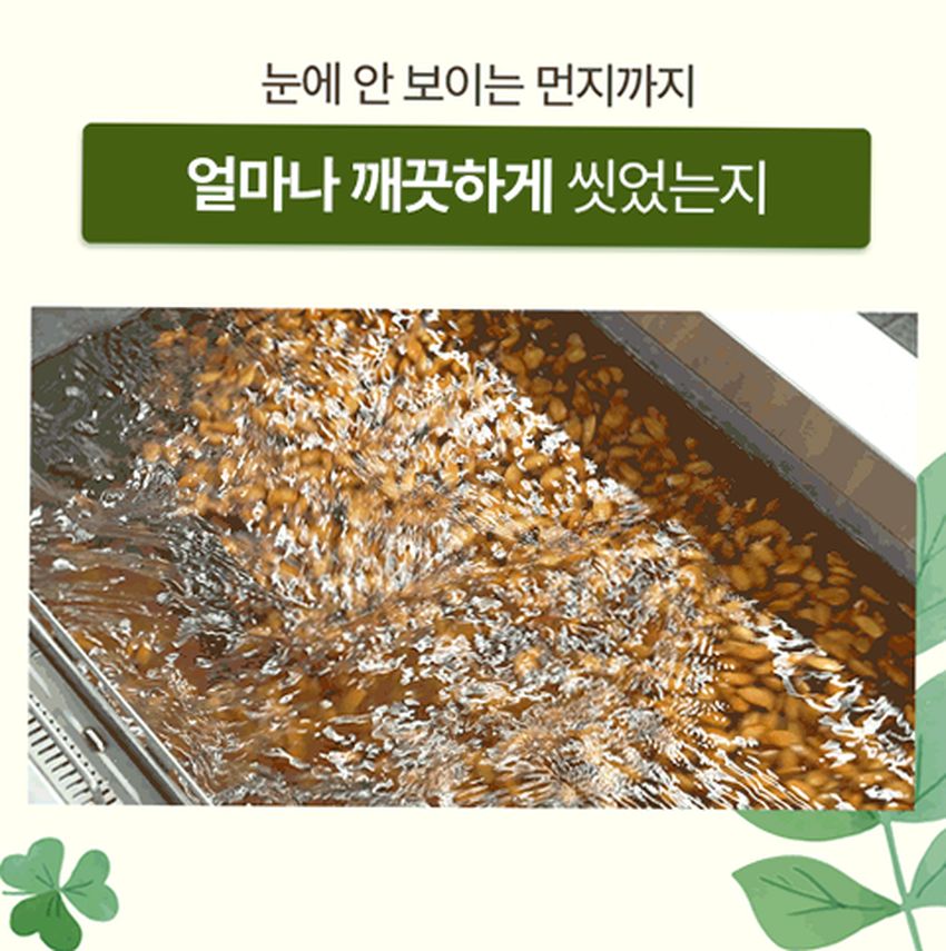 호두얌 캘리포니아 구운 햇 호두 반태 290g